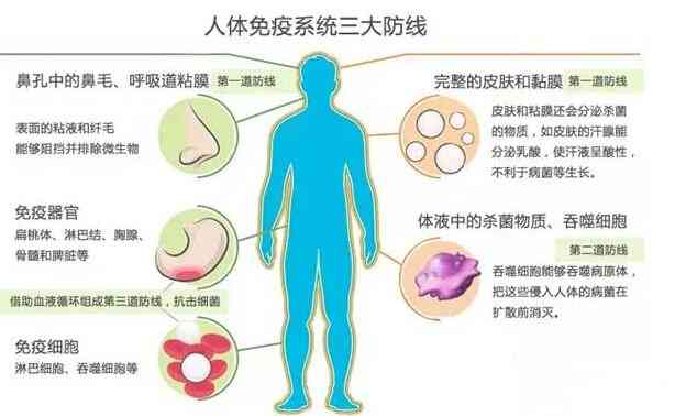 专访|清华专家张明徽：癌症的“终结者”一定是免疫治疗
