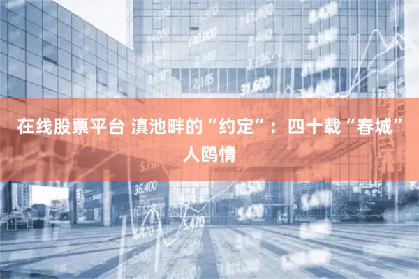 在线股票平台 滇池畔的“约定”：四十载“春城”人鸥情